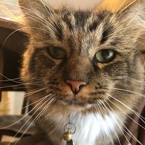 Meet your Posher, Alyson